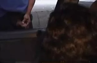 XXX Nga lừa đảo armenia kỳ phim séc nhật bản không che nghỉ trong warsaw