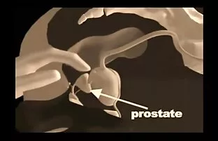 XXX Những nữ thần xinh xxxvideo nhật đẹp, cô Cyrus, đang lây lan rất nhiều cho các em gái của vợ.