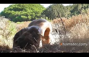 XXX Nga, đồ vụng sex già nhật bản về video